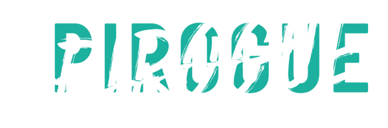 La Pirogue - Agence de communication pour une transition éclairée